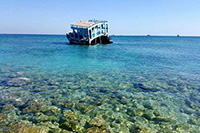 theranosticsiran.com :: Bushehr Theranostic Center