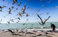 theranosticsiran.com :: Bushehr Theranostic Center