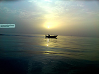 theranosticsiran.com :: Bushehr Theranostic Center