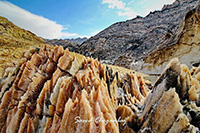theranosticsiran.com :: Bushehr Theranostic Center
