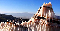 theranosticsiran.com :: Bushehr Theranostic Center