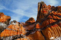 theranosticsiran.com :: Bushehr Theranostic Center
