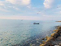 theranosticsiran.com :: Bushehr Theranostic Center