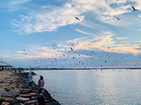 theranosticsiran.com :: Bushehr Theranostic Center