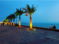 theranosticsiran.com :: Bushehr Theranostic Center