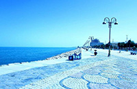 theranosticsiran.com :: Bushehr Theranostic Center